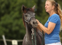 Sternbergs Rock my Day - Doonhill Duke x Sternbergs Rocket Girl (v. Skousboe Morning Rock)