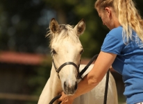 Sternbergs Make Me Smile - Caherlistrane Con x Sternbergs Mandy (v. El Larry)