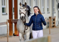 Sternbergs Larry Junior bei der süddeutschen Körung in München