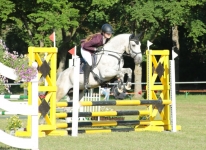 Sternberg's Larry Jr. and Lena - Tournament Dettelbach 2022 - E-style jumping - © 